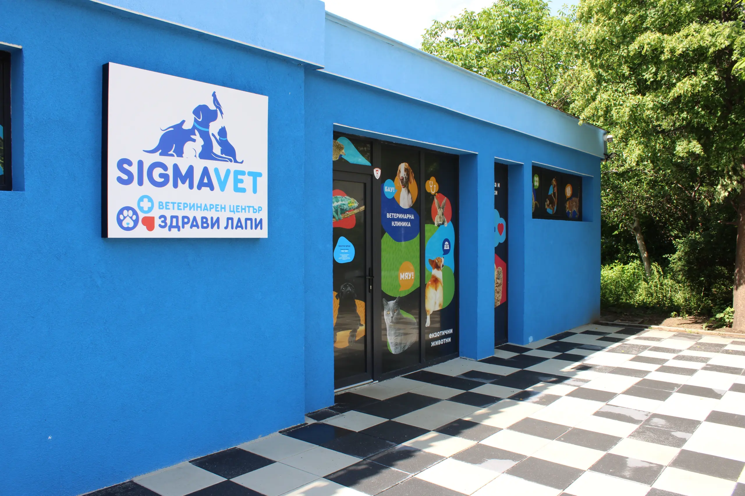 Ветеринарен кабинет в клиника SIGMAVET